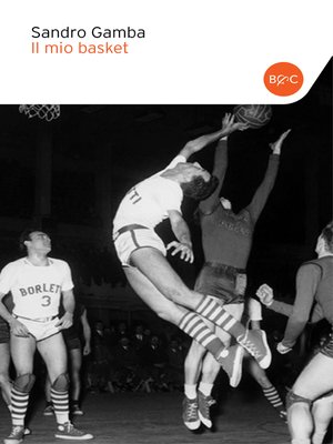 cover image of Il mio basket